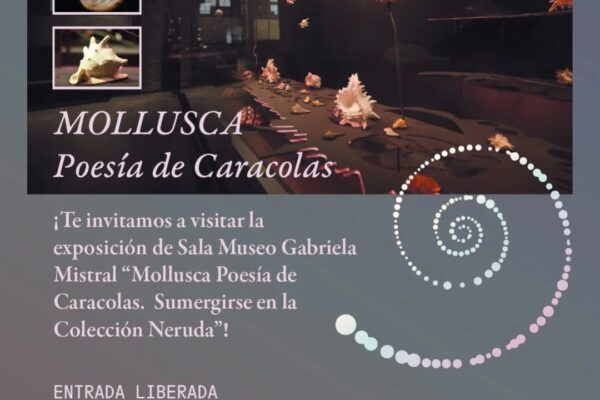 Exposición «Mollusca. Poesía de Caracolas. Sumergirse en la Colección Neruda» regresa a la cartelera Mollusca Pablo Neruda
