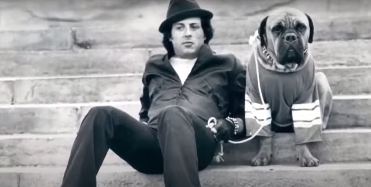 El actor y su mascota en Rocky