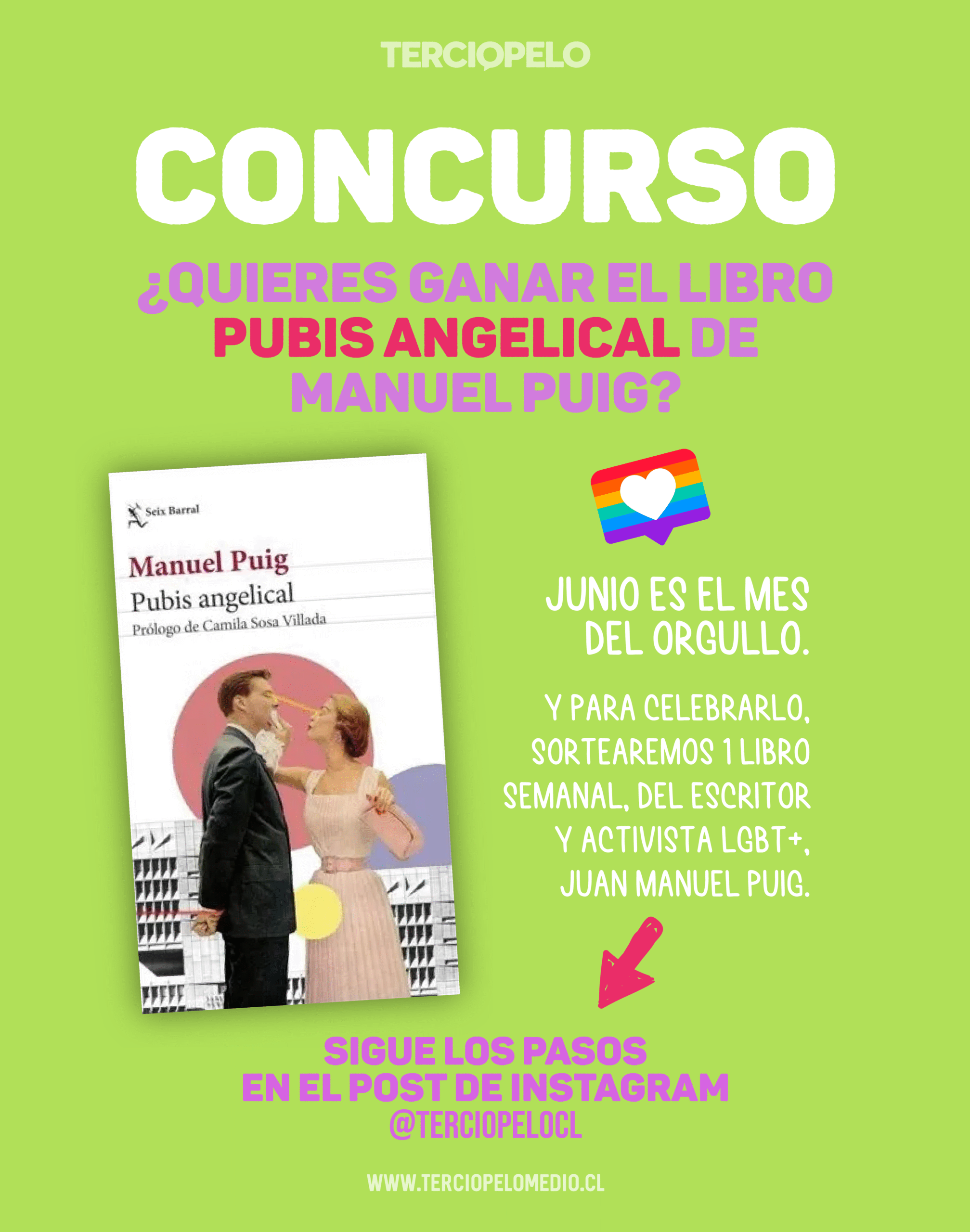 Concurso ¿Quieres ganar el libro Pubis Angelical de Manuel Puig?