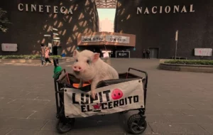 Cerdito Lupito