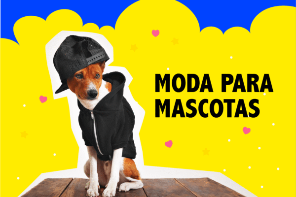 Mascotas - Moda Pet - Ropa para mascotas