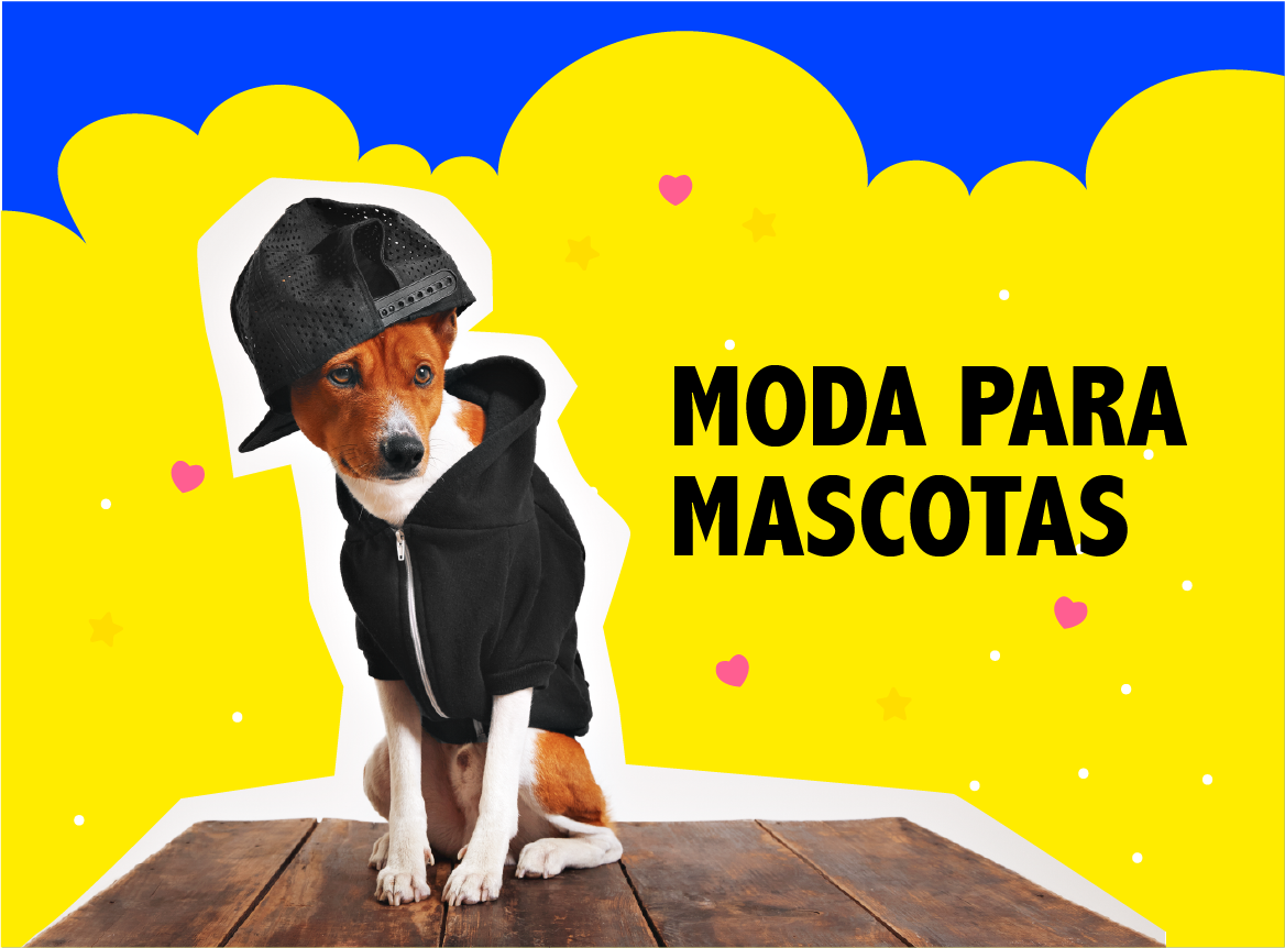 Mascotas - Moda Pet - Ropa para mascotas