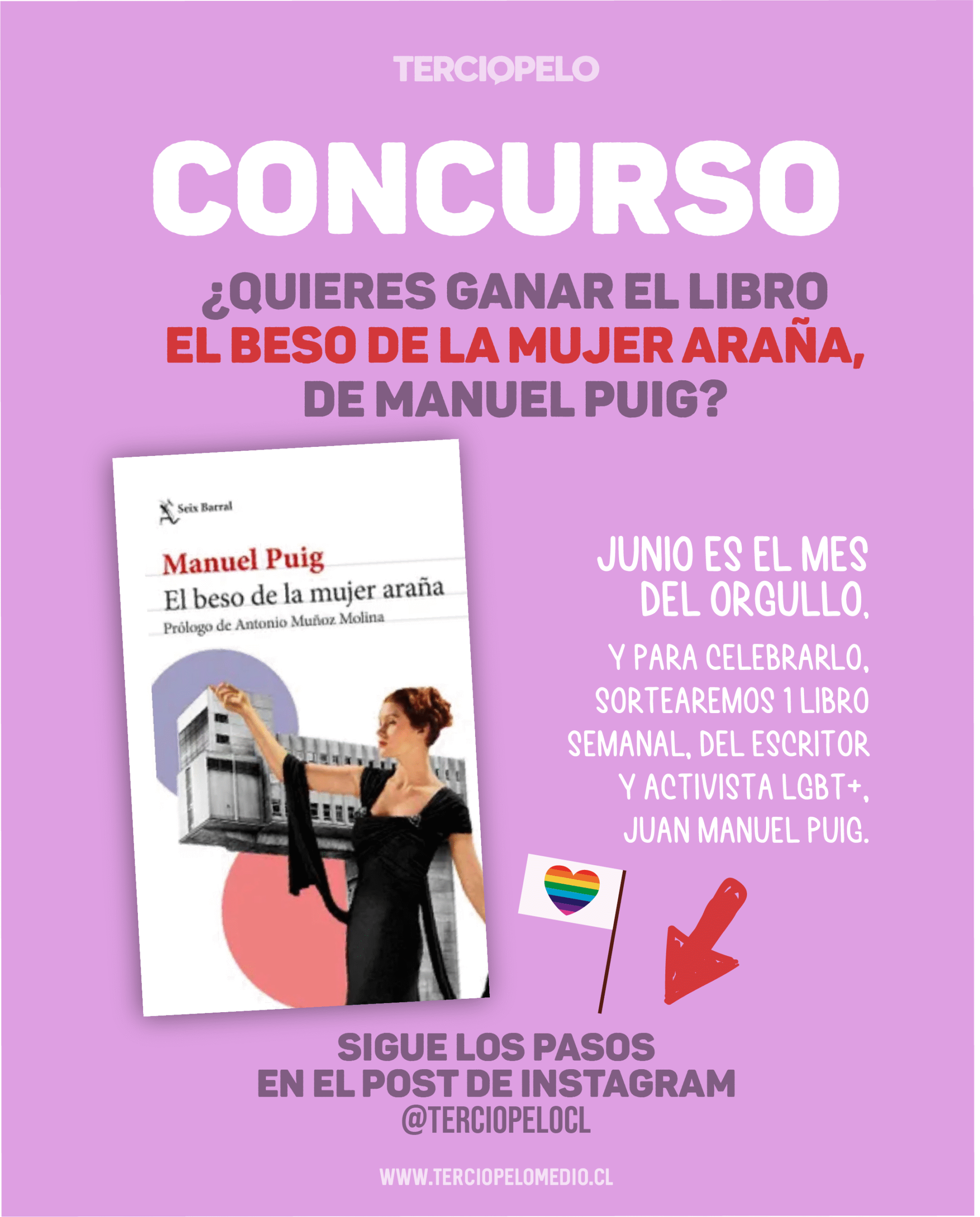 Concurso ¿Quieres ganar el libro El Beso de la mujer araña de Manuel Puig?
