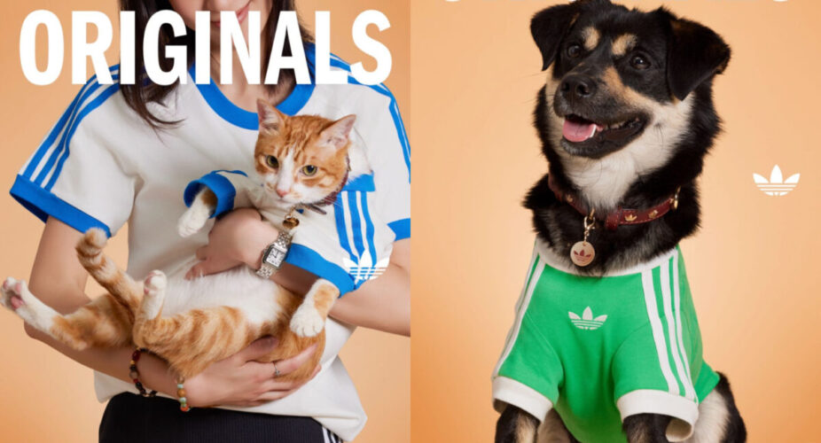 Mascotas con estilo: el popular boom de la moda pet que tiene al vocalista de Korn, Adidas y más rindiéndose a los peludos 2 Adidas Mascotas