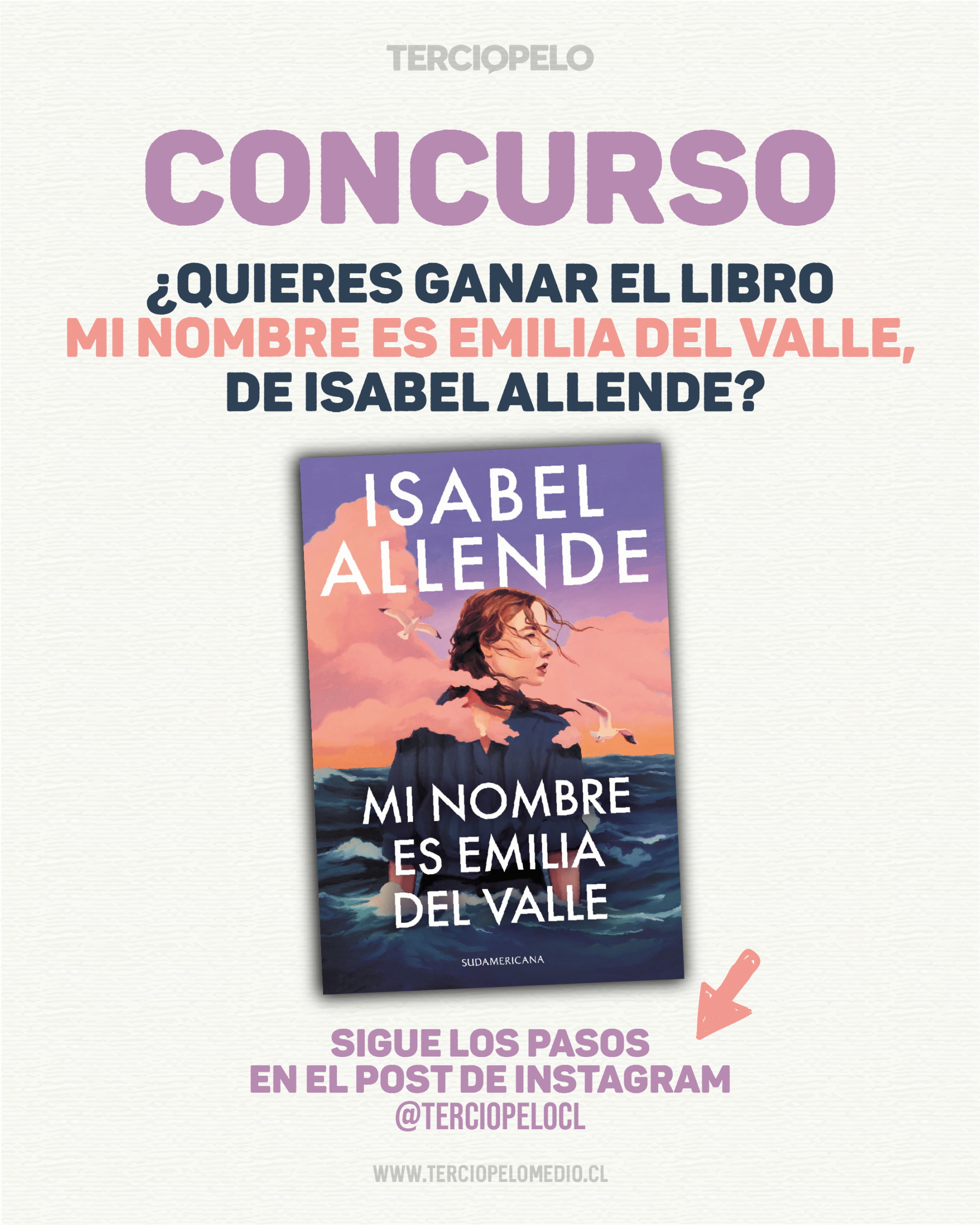 Mi Nombre es Emilia del Valle, Isabel Allende, Concurso, Libro