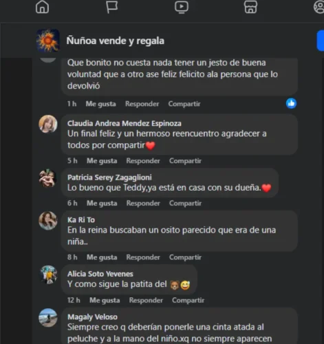 La notable historia de Teddy, osito "olvidado" en una micro que se reencontró con su familia en menos de 24 horas 3 Osito Teddy