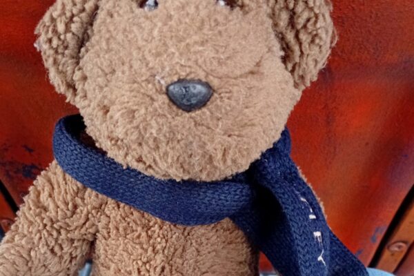 La notable historia de Teddy, osito «olvidado» en una micro que se reencontró con su familia en menos de 24 horas Teddy