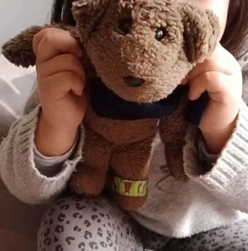 La notable historia de Teddy, osito "olvidado" en una micro que se reencontró con su familia en menos de 24 horas 2 Teddy osito otra