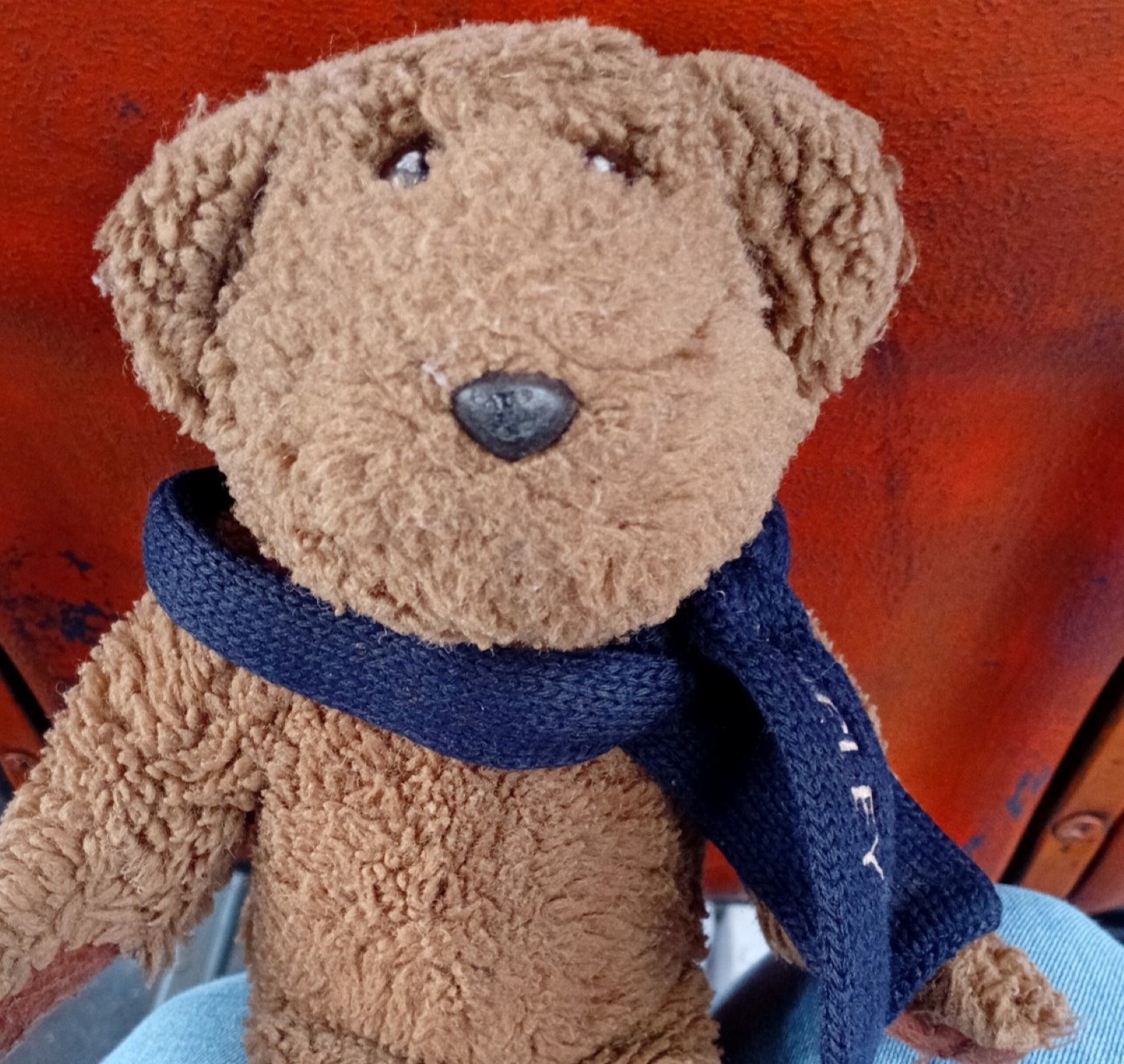 Teddy