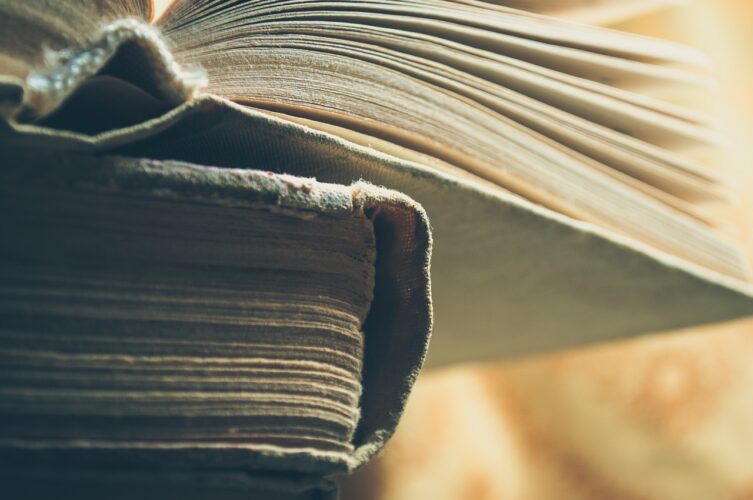 ¿Qué es un club de lectura?: El poderoso y mágico espacio que empieza a ser tendencia 4 club de lectura alternativa Pixabay