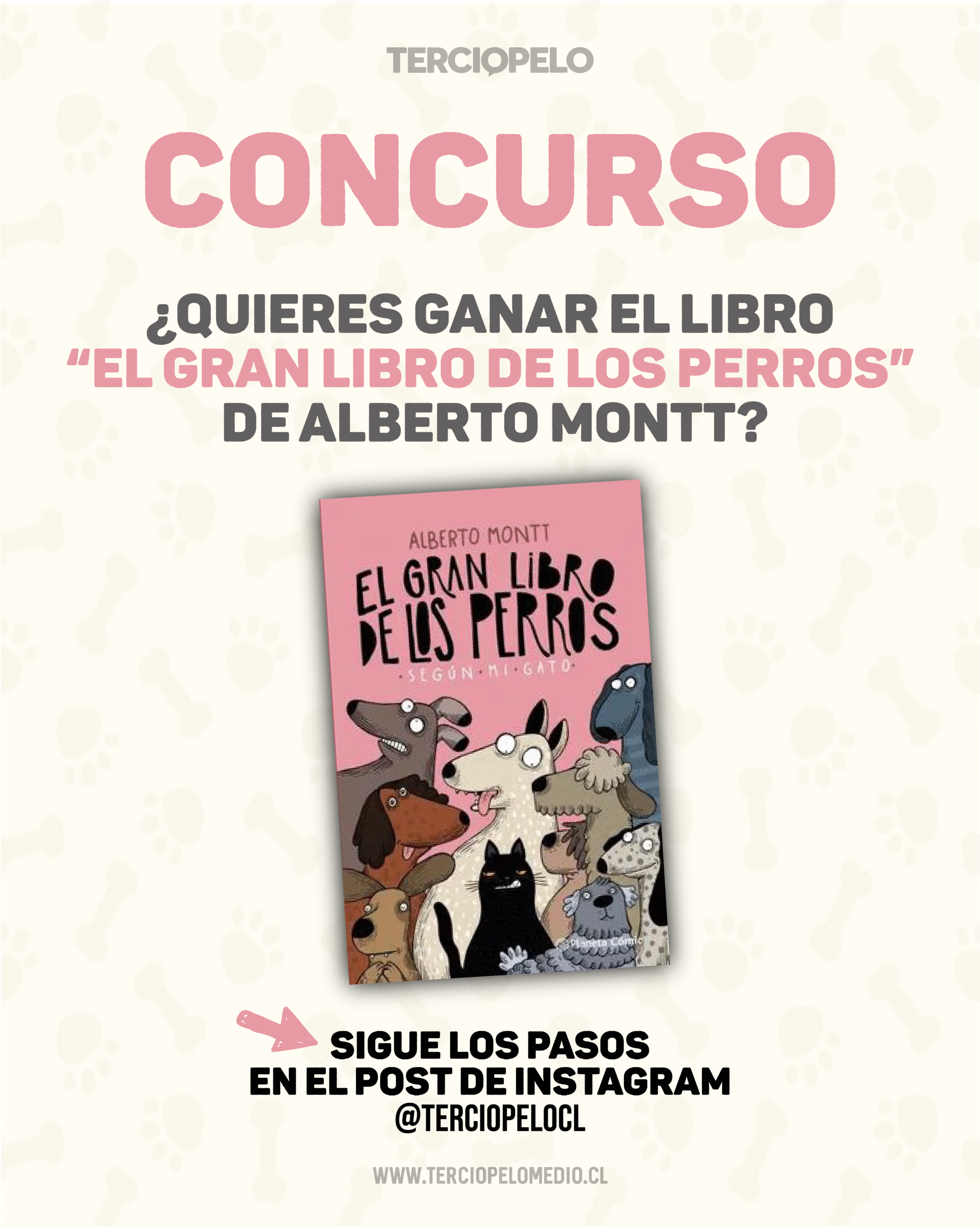 Concurso - El Gran Libro de los Perros (segun mi gato) Alberto Montt Terciopelo